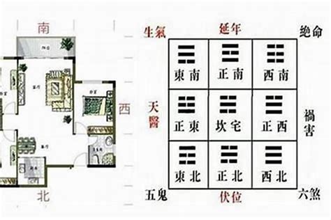 如何分辨青龙位|深度解析青龙白虎高低风水住宅，掌握风水布局的重要性